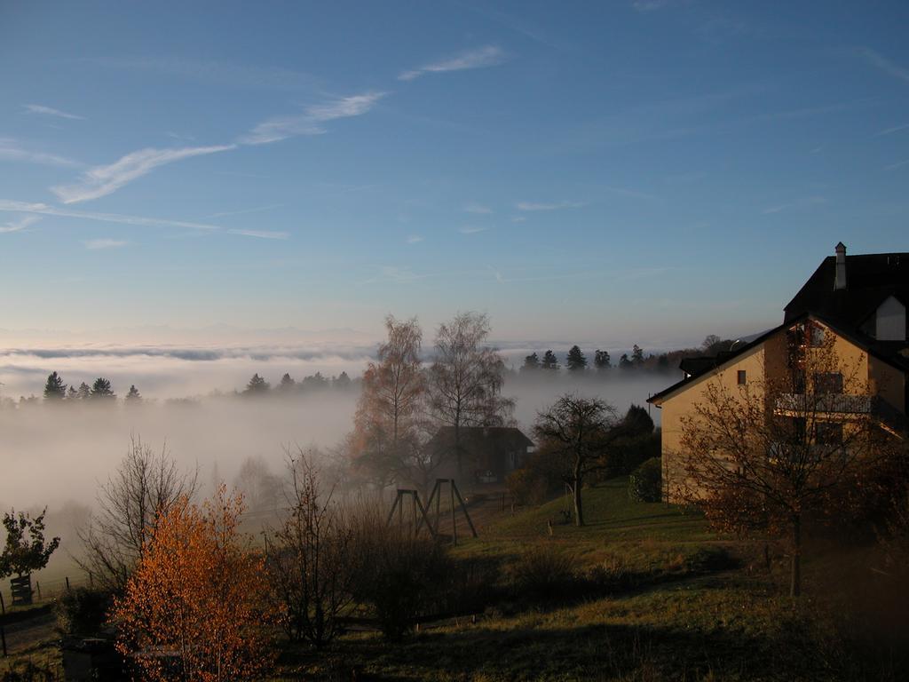 Ecohotel L'Aubier Montezillon Bagian luar foto